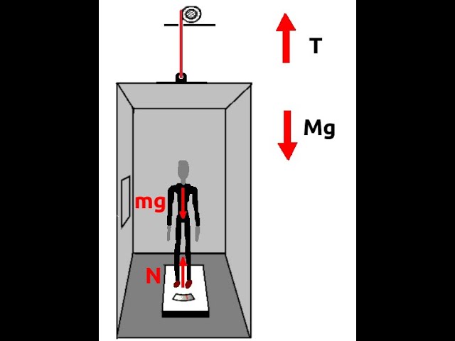 Stand on a bathroom scale in a motionless elevator