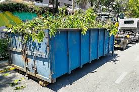 Top Dumpster Rental Services: Find The Best Options